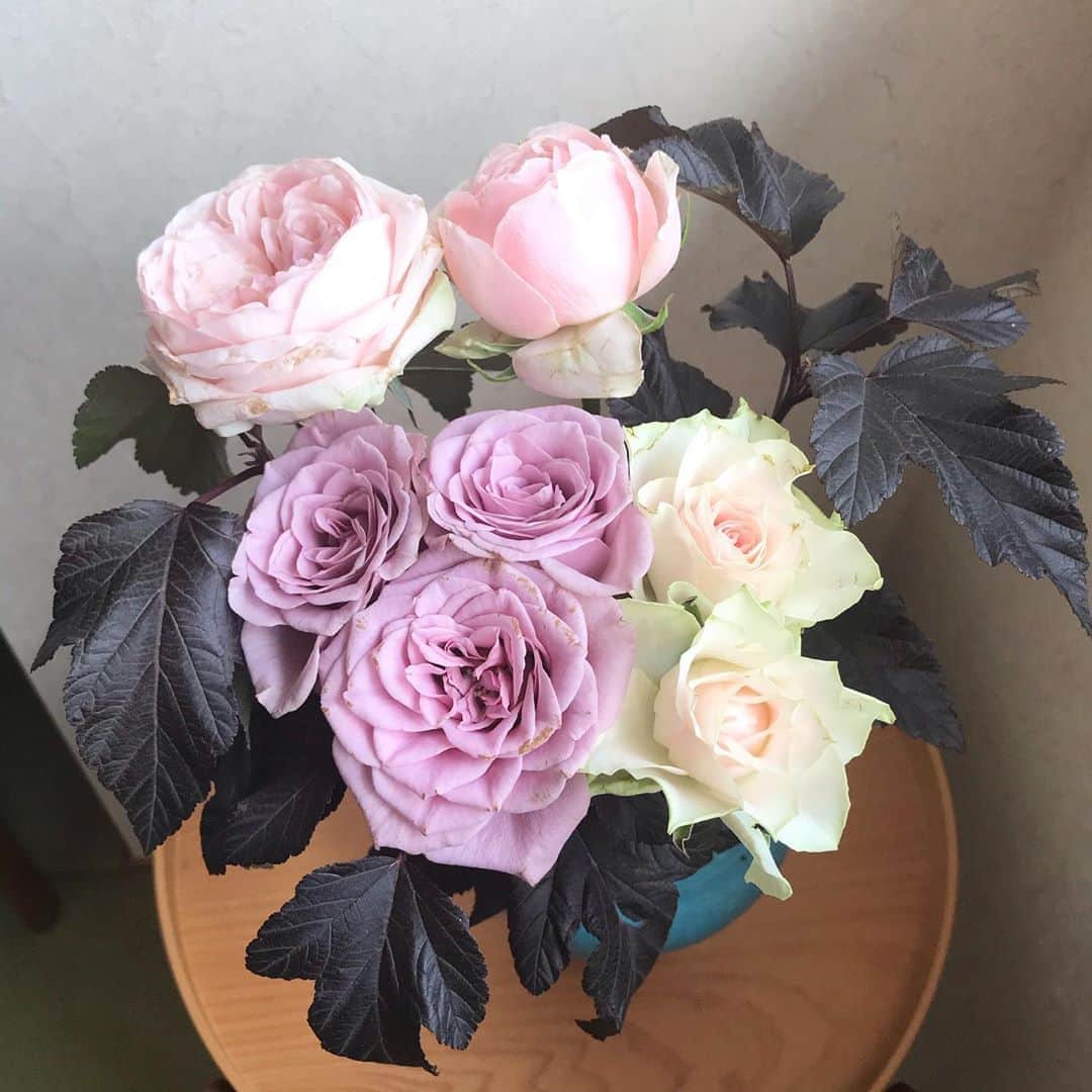 福田葉子さんのインスタグラム写真 - (福田葉子Instagram)「薔薇は久しぶり。秋になるんだなあとしみじみ。ダークカラーの葉と合わせて秋らしくしっとりと。季節の変わり目の今週のお花。 #flowers #rose #autumn #darkcolors #love #beautiful #お花　#薔薇　#秋　#気配　#花のある暮らし」9月5日 13時55分 - yoyoyokoko