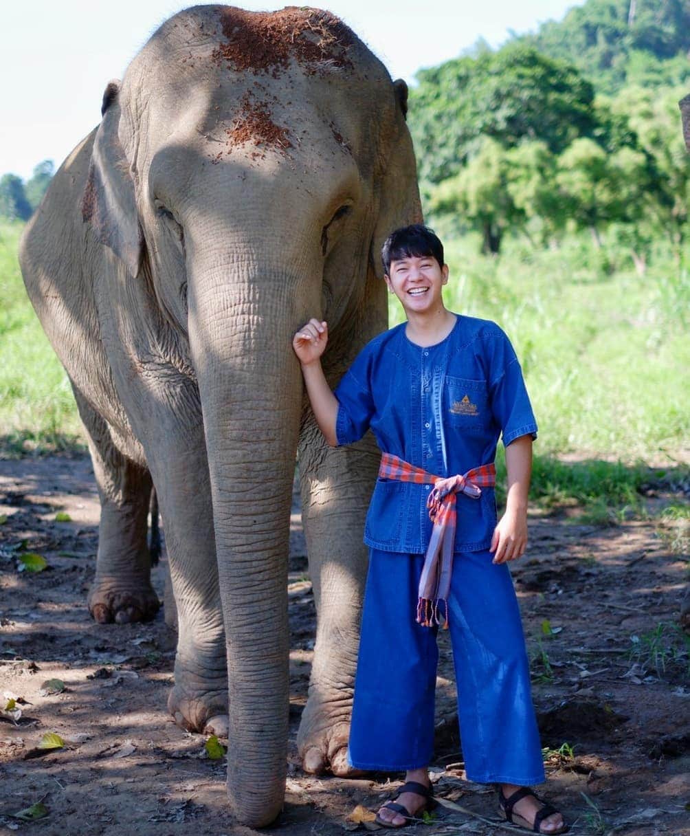 アイス・サランユーのインスタグラム：「Walk with Giant เจ๊โบ!! 🎀@anantara_goldentriangle With @gtaef_thailand  ความร่วมมือ ในการอนุรักษ์ดูแล น้องช้างไทย&ควาญช้าง นำมาสู่การท่องเที่ยว เชิงการเรียนรู้ (Elephant Tourism) อ่านเพิ่มเติมที่ FB page /ICESARUNYU #anantaragoldentriangle  #chiangrai  #เที่ยวทั่วไทยกับไอซ์ศรัณยู」