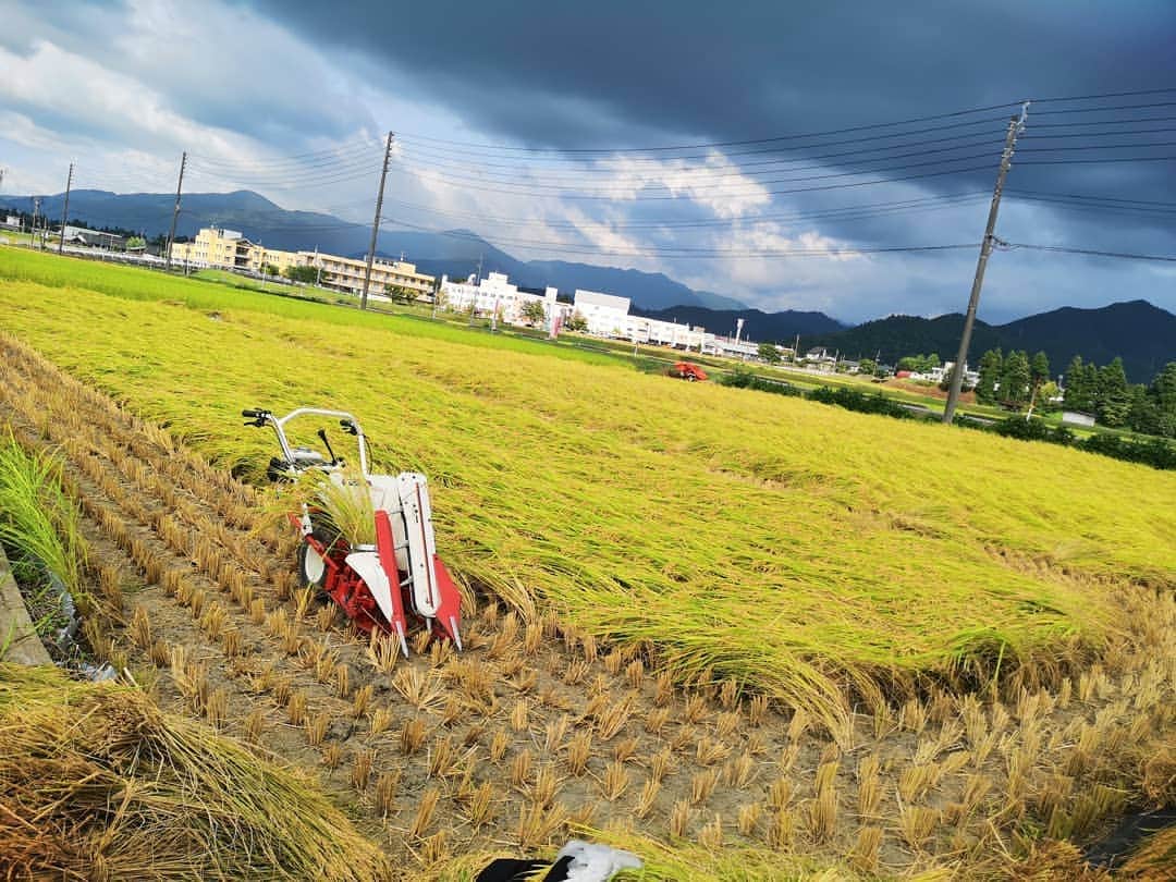 のインスタグラム：「この便利なご時世になぜバインダー、、、無理、暑い、つらい、、、😇 . #田舎の稲刈り #効率の悪さ日本代表 #時代の流れに乗れてない #乗れてなさすぎる #一生終わらない気がする #バインダー担当の私 #おいしいおこめできますよーにー」