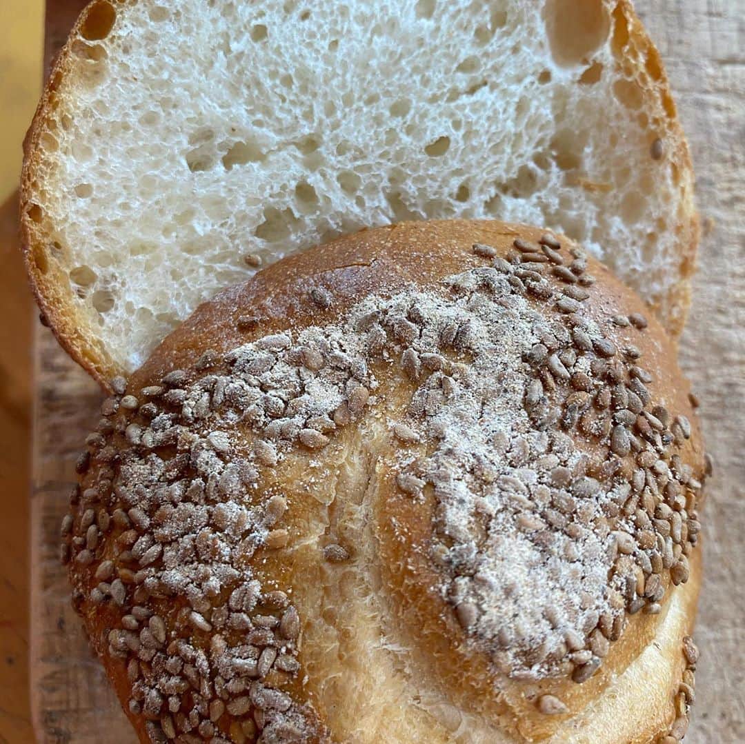 魔女菅原のグルメインスタ