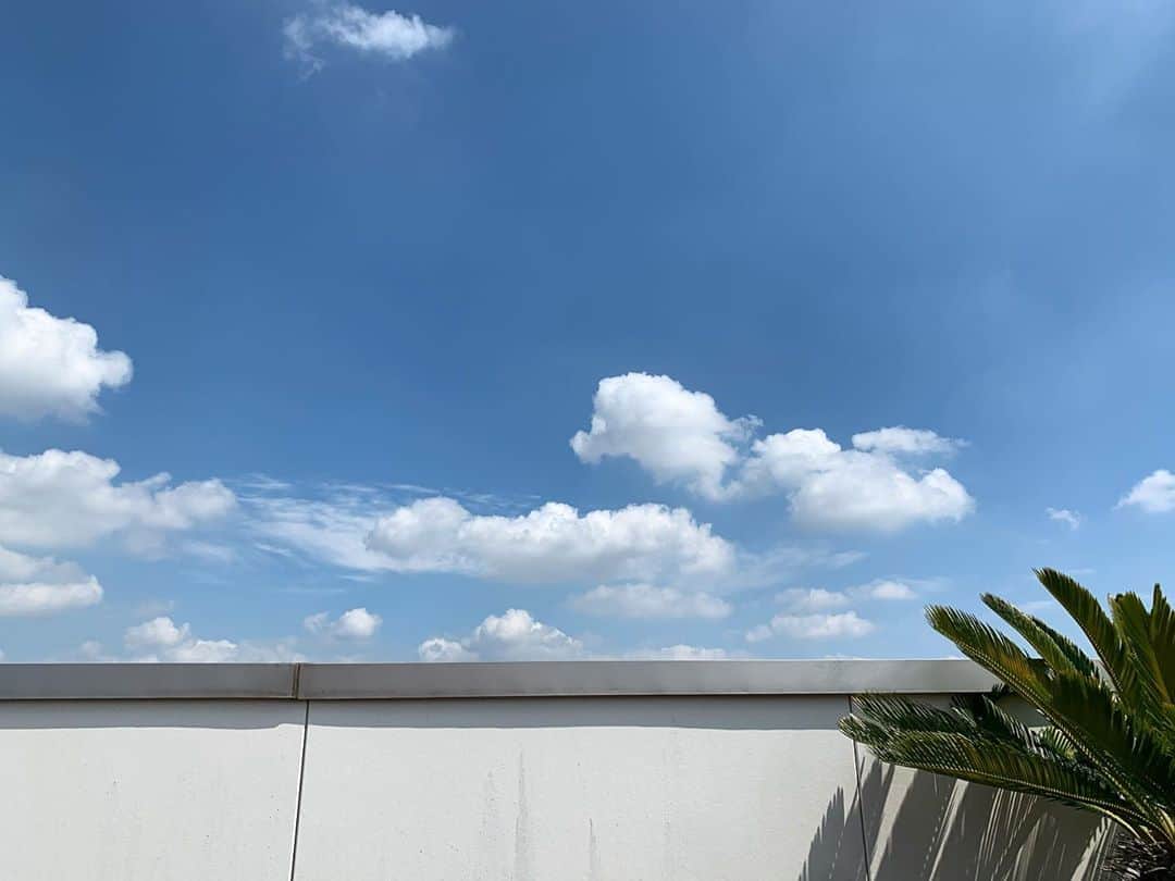 のインスタグラム：「#beautiful#hot #rooftop #green #sky #clouds #tokyo #lovelife #instaview #instagood」