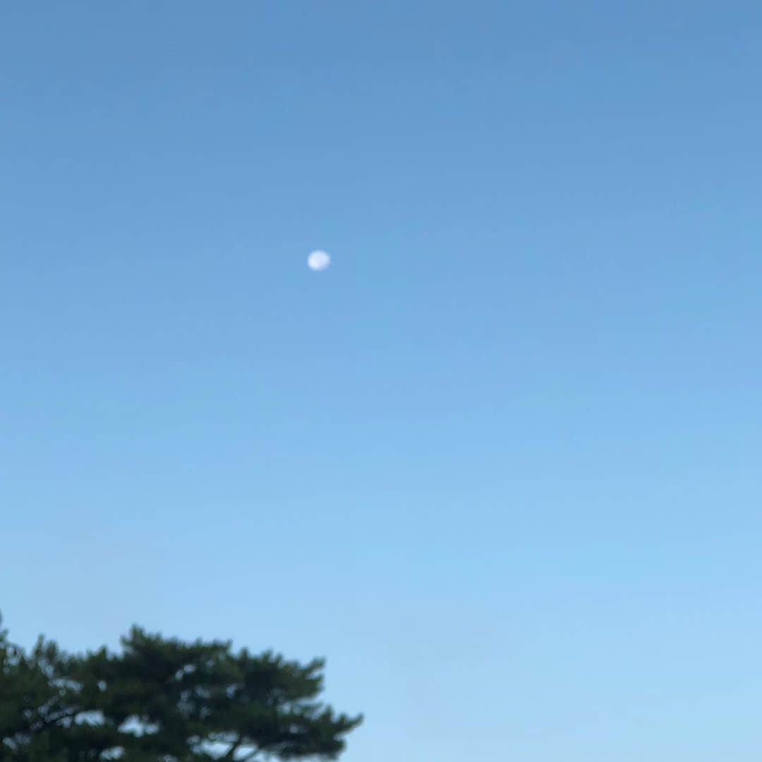 アキ（荒木良明）さんのインスタグラム写真 - (アキ（荒木良明）Instagram)「二見興玉神社 #日の出 #二見浦 #かえる #カニ #久しぶりの #お伊勢参り #お参り日和 #吉本新喜劇アキ」9月5日 15時37分 - mizutamareppuaki