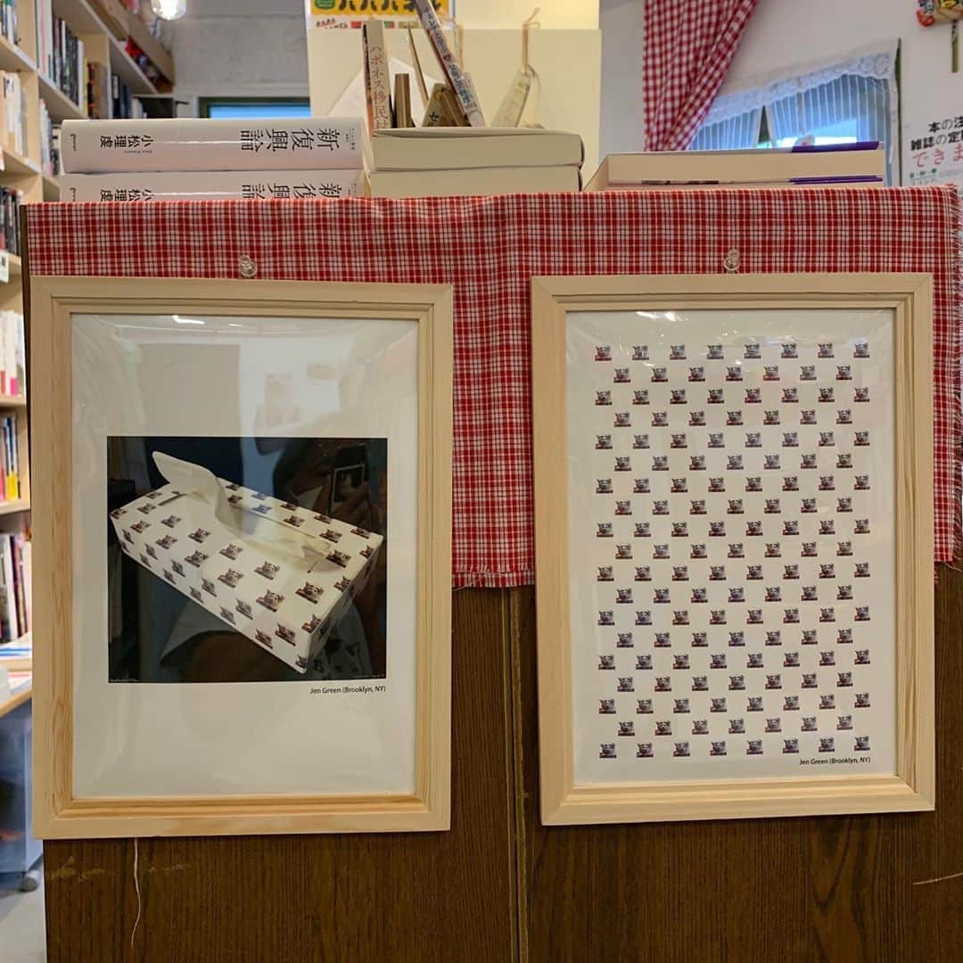 Kachimo Yoshimatsuさんのインスタグラム写真 - (Kachimo YoshimatsuInstagram)「みんなのナナクロ展12日目。 今日からほぼ原寸大抱っこナナクロ追加しました。 後はニューヨークからJen GreenさんがNanakuro’s PillowとNanakuroパターンを送って来てくれました。 今日は20:00までです。お待ちしております。  #うちの猫ら #nanakuro #ナナクロの絵 #みんなのナナクロ展 #ナナクロ #猫 #ねこ #cat #ネコ #catstagram #ネコ部 http://kachimo.exblog.jp」9月5日 15時43分 - kachimo