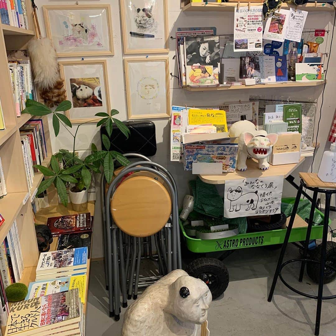 Kachimo Yoshimatsuさんのインスタグラム写真 - (Kachimo YoshimatsuInstagram)「みんなのナナクロ展12日目。 今日からほぼ原寸大抱っこナナクロ追加しました。 後はニューヨークからJen GreenさんがNanakuro’s PillowとNanakuroパターンを送って来てくれました。 今日は20:00までです。お待ちしております。  #うちの猫ら #nanakuro #ナナクロの絵 #みんなのナナクロ展 #ナナクロ #猫 #ねこ #cat #ネコ #catstagram #ネコ部 http://kachimo.exblog.jp」9月5日 15時43分 - kachimo