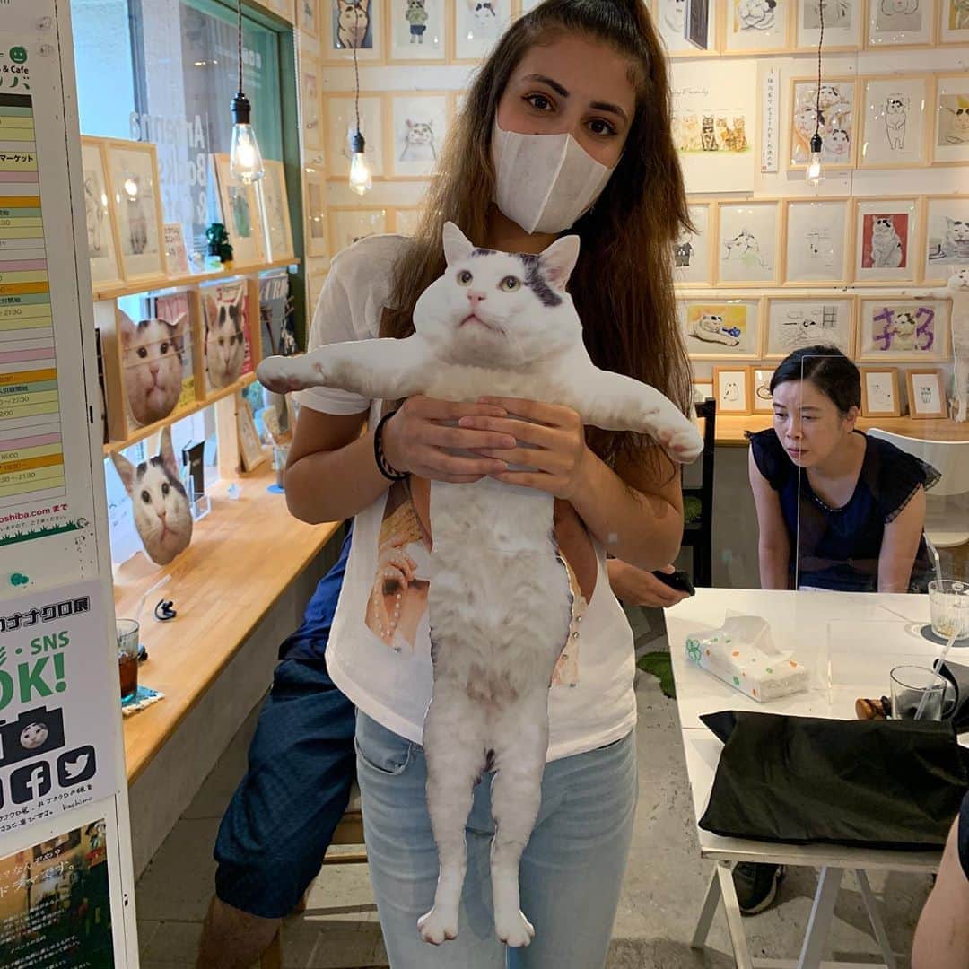 Kachimo Yoshimatsuさんのインスタグラム写真 - (Kachimo YoshimatsuInstagram)「みんなのナナクロ展12日目。 今日からほぼ原寸大抱っこナナクロ追加しました。 後はニューヨークからJen GreenさんがNanakuro’s PillowとNanakuroパターンを送って来てくれました。 今日は20:00までです。お待ちしております。  #うちの猫ら #nanakuro #ナナクロの絵 #みんなのナナクロ展 #ナナクロ #猫 #ねこ #cat #ネコ #catstagram #ネコ部 http://kachimo.exblog.jp」9月5日 15時43分 - kachimo