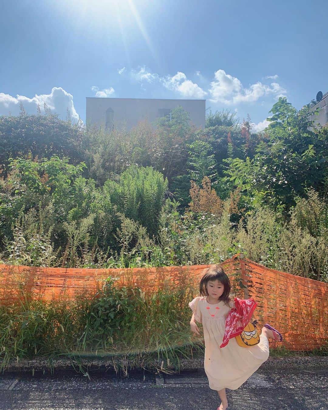 坂本美雨さんのインスタグラム写真 - (坂本美雨Instagram)「空き地が一夏で森になっていた  #今日のなまこちゃん」9月5日 16時21分 - miu_sakamoto