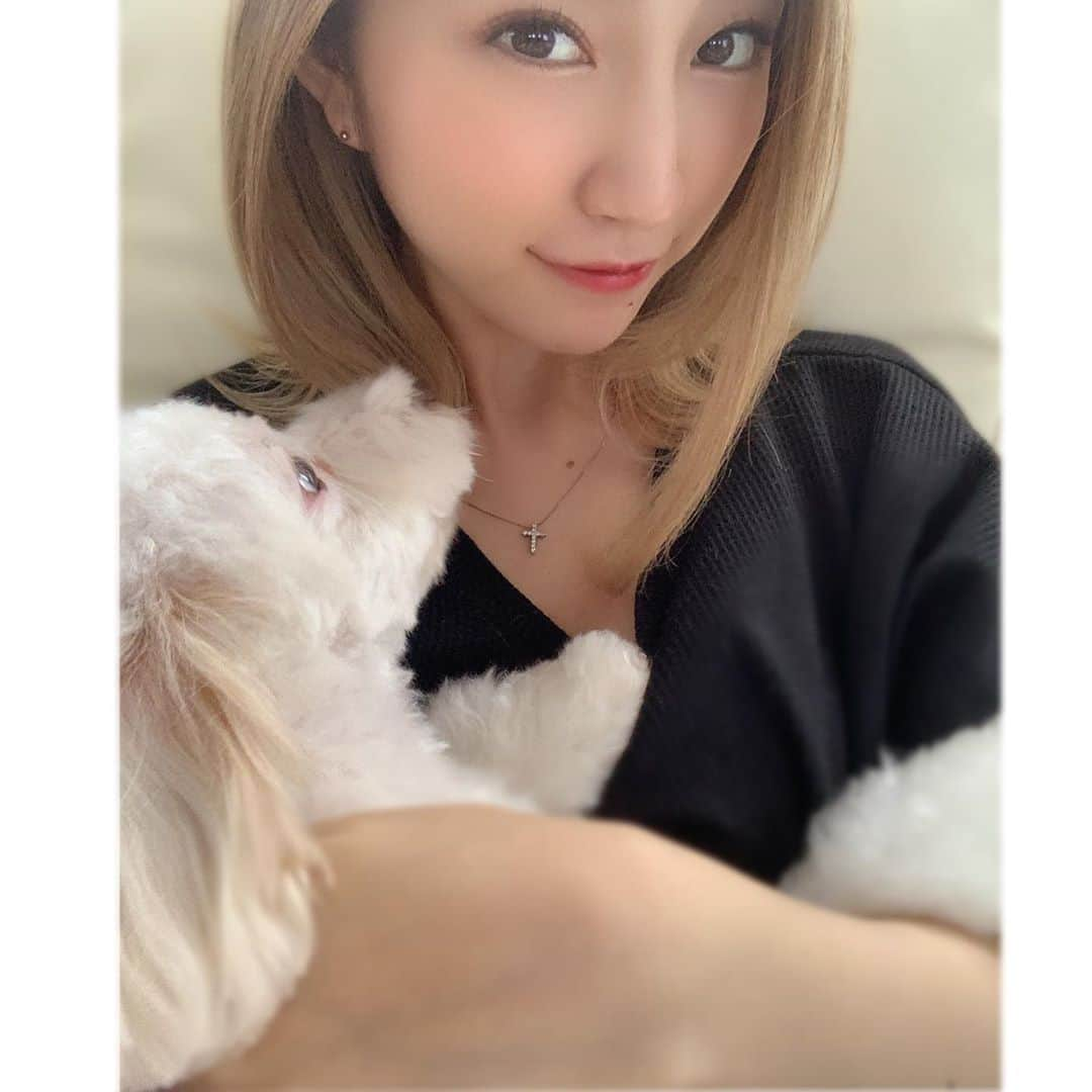 鈴木真梨耶さんのインスタグラム写真 - (鈴木真梨耶Instagram)「いつかジョナに食べられそう(°_°)笑  毎日毎日ずっとついてくるの。 本当にかわいい癒しらぶゅ♡←笑  #愛犬　#犬　#dog #puppy #cute #small #love #angel  #マルプー　#まるちーず #トイプードル　#かわいい　#天使 #甘えん坊  ‪#ROSEAREAL #ロザリオ‬ ‪#鈴木真梨耶 #MaRiyaSuzuki‬」9月5日 16時31分 - mariya_suzuki