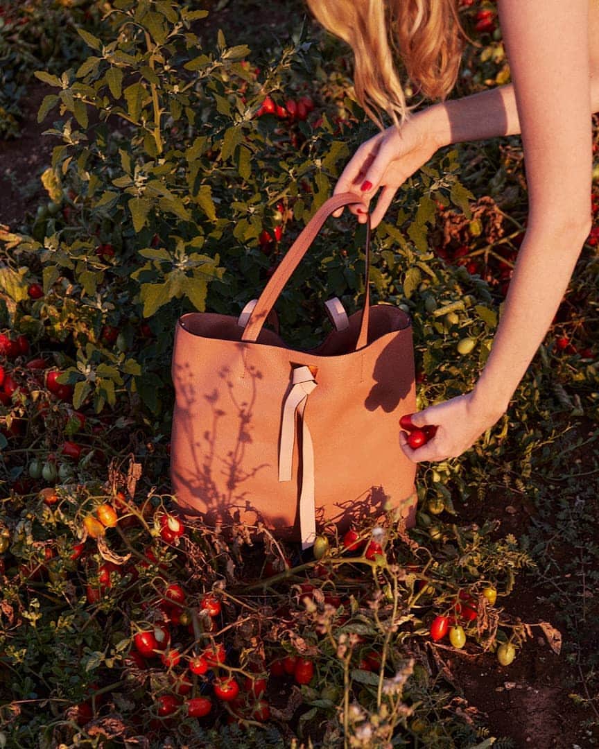 のインスタグラム：「Feel the warmth of the season with the coolest style companion: the Joy bag.  #Coccinelle #Precollection #Staycation #ItalianHolidays #ItalianSummer #CoccinelleBags #Beauty #Joy」