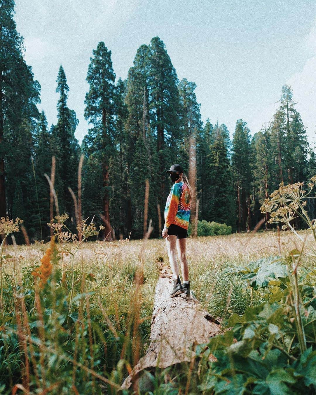 ジョセフィン・スクリヴァーさんのインスタグラム写真 - (ジョセフィン・スクリヴァーInstagram)「into the wild 🌲🌲🌲」9月6日 3時40分 - josephineskriver