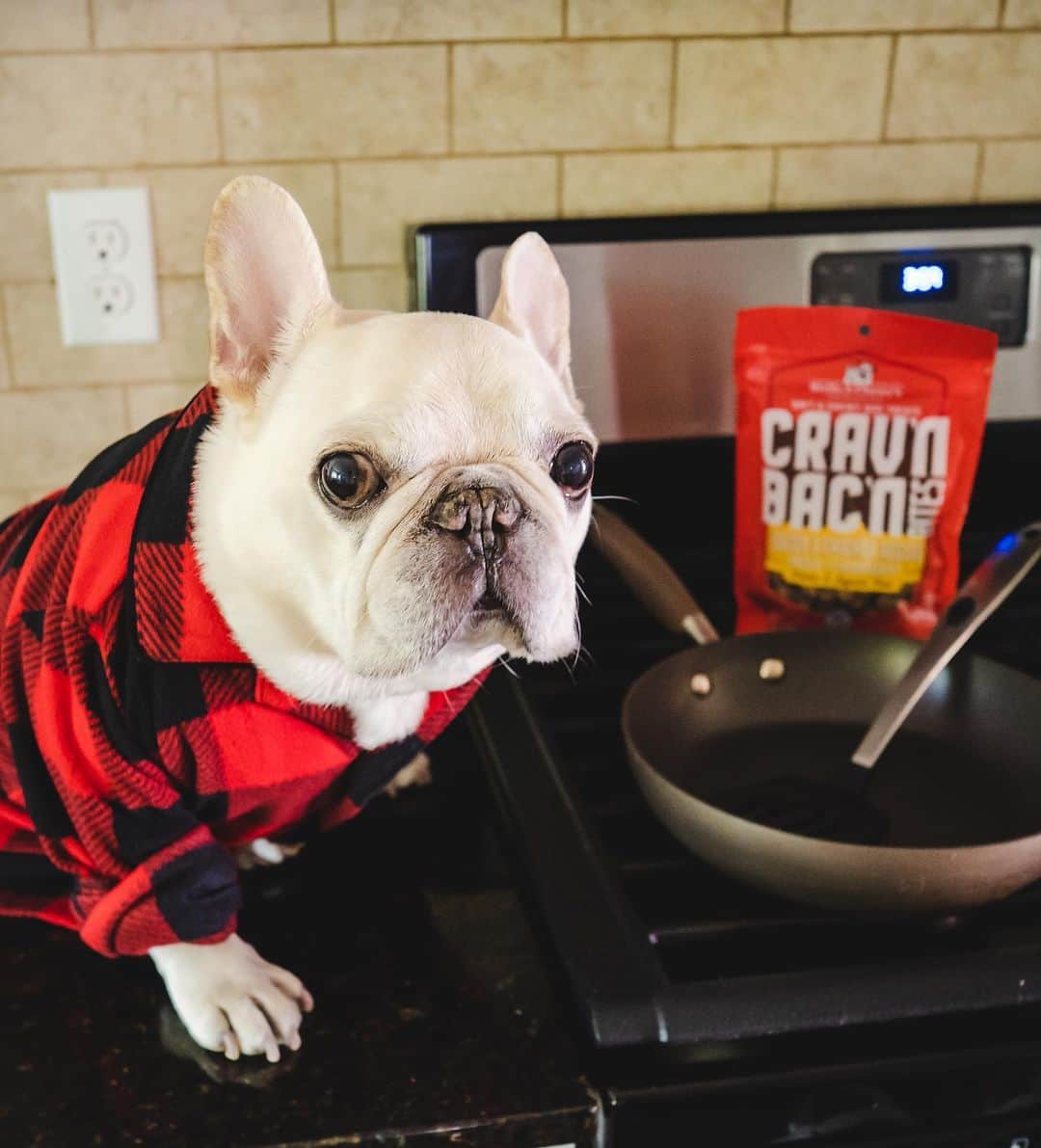 Sir Charles Barkleyのインスタグラム：「I wrote you this poem: Roses are red.  Bacon is red.  Poems are hard.  Bacon! happy #nationalbaconday! @stellaandchewys #ad」