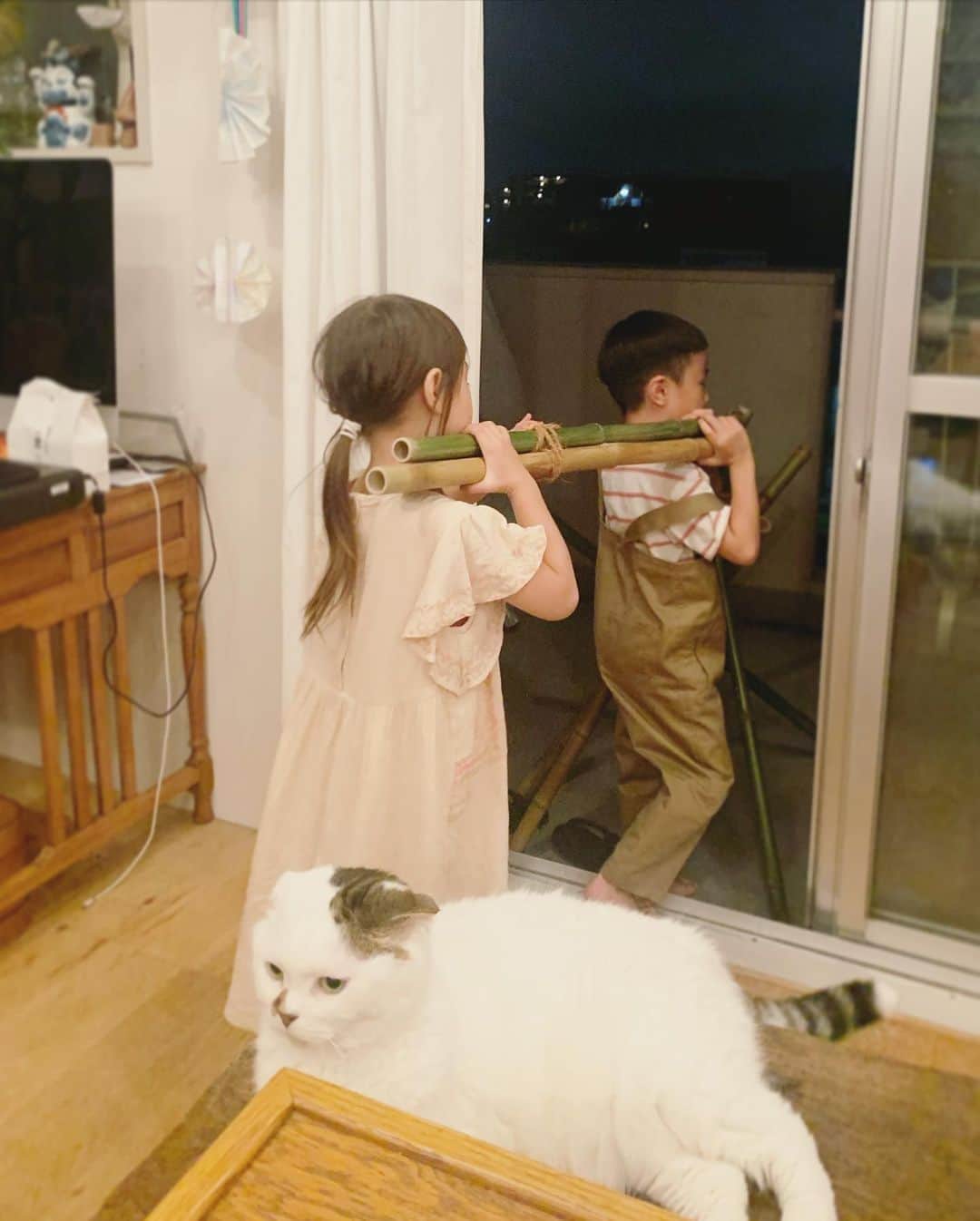 坂本美雨さんのインスタグラム写真 - (坂本美雨Instagram)「流しそうめんのための竹を運ぶ #セコムとなまこ と #komutancat #今日のなまこちゃん」9月6日 2時38分 - miu_sakamoto