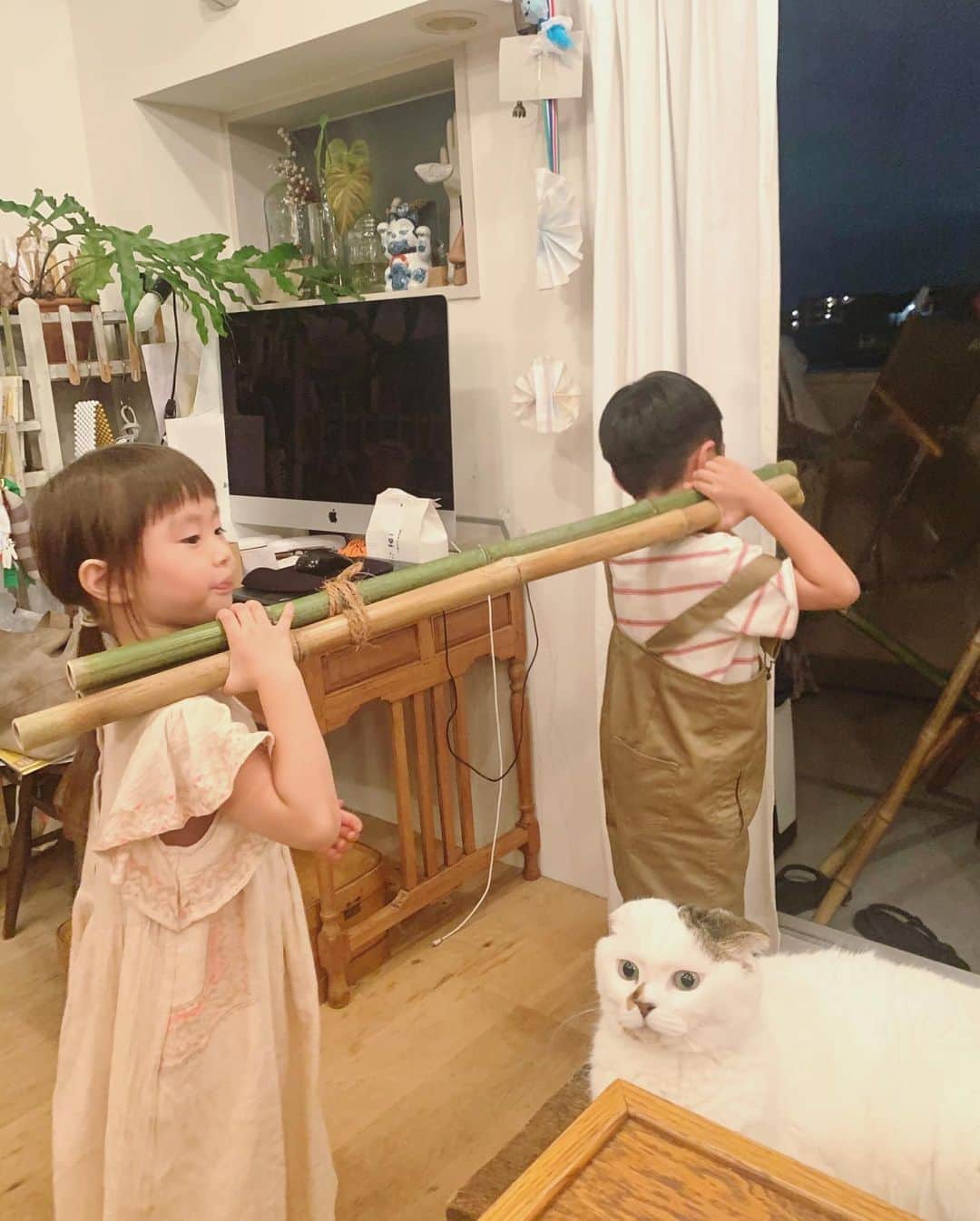 坂本美雨さんのインスタグラム写真 - (坂本美雨Instagram)「流しそうめんのための竹を運ぶ #セコムとなまこ と #komutancat #今日のなまこちゃん」9月6日 2時38分 - miu_sakamoto