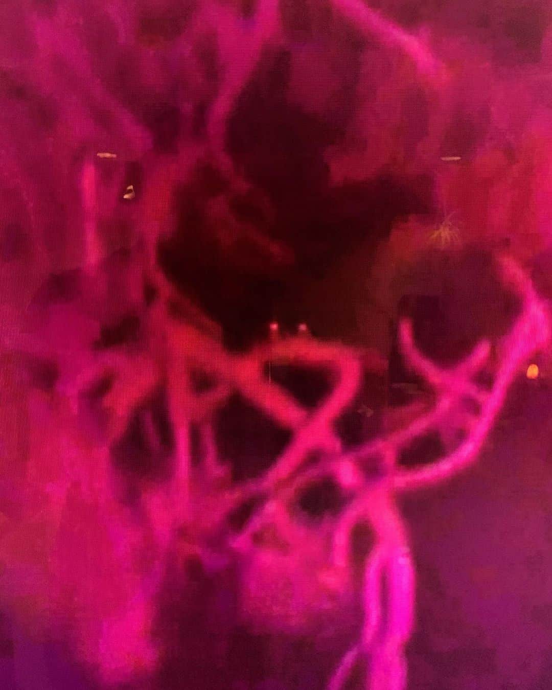 ブライス・ジョンソンのインスタグラム：「What in the actual f*** is that?! 👹  Taken from Expedition Bigfoot Season 1 episode 4 ‘Red Eyes at Night’ #trvlbigfoot #bigfooteyes #bigfoot」