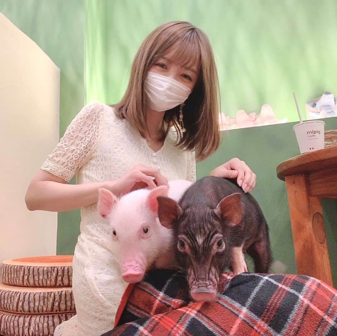 ゆうたむのグルメインスタ