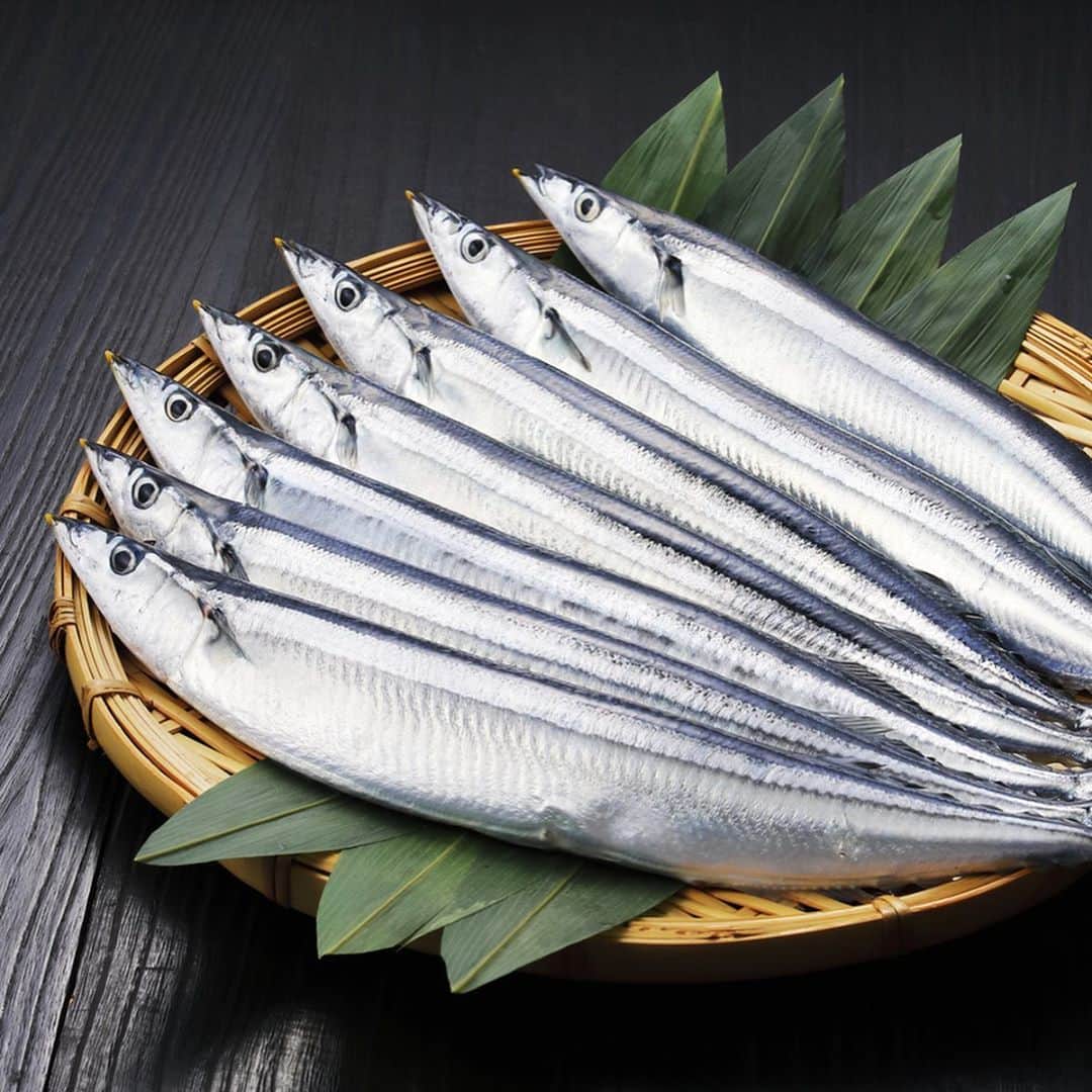 居酒屋 六度のグルメインスタ