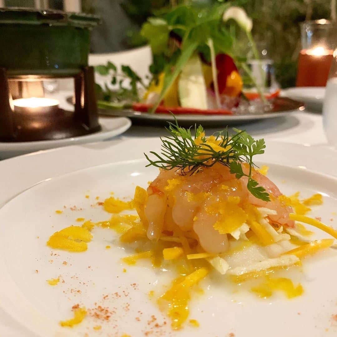 Maya Shiraiのグルメインスタ