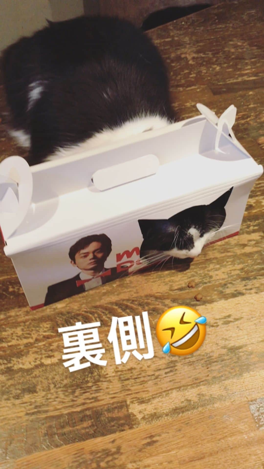 もじゃころのインスタグラム：「スダコラボBOXの裏側の状況もお伝えしときます！  #坂東玉隠しシャシャ丸  #菅田将暉  #ミスド #ミスタードーナツ #misterdonut #ミスド5」