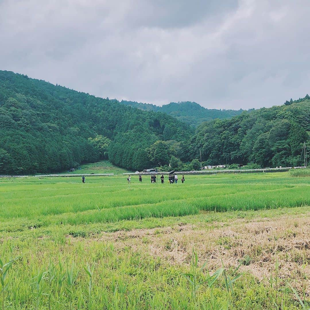 新井郁さんのインスタグラム写真 - (新井郁Instagram)「お知らせが続きますが、 NHK BS4Kドラマ「歩くひと」 9月6日(日)19:00〜放送 第5話「弁当の中身」に出演しています。  撮影の日は自然の中で いろんな奇跡に出逢いました。 （感動した風景はまた後日にでも🧚🏻‍♂️）  セミの声も雨粒がぶつかる音も 目に見える風や光のすじも本当に愛おしかったです。  田舎生まれの私にとって 本当に至福の懐かしい風景の中で 心めいっぱい伸びをしてきました。 是非ご覧ください🍃🍃  #repost @aberakantoku --------------------- #歩くひと #NHKBS4K 出演： #井浦新 #田畑智子 #大和田伸也 #新井郁 原作： #谷口ジロー 演出： #アベラヒデノブ  取材： #田口佳宏 制作統括： #藤田英世 #吉見健士  プロデューサー： #菊池武博  #araiiku_works」9月5日 20時04分 - araiiku_official