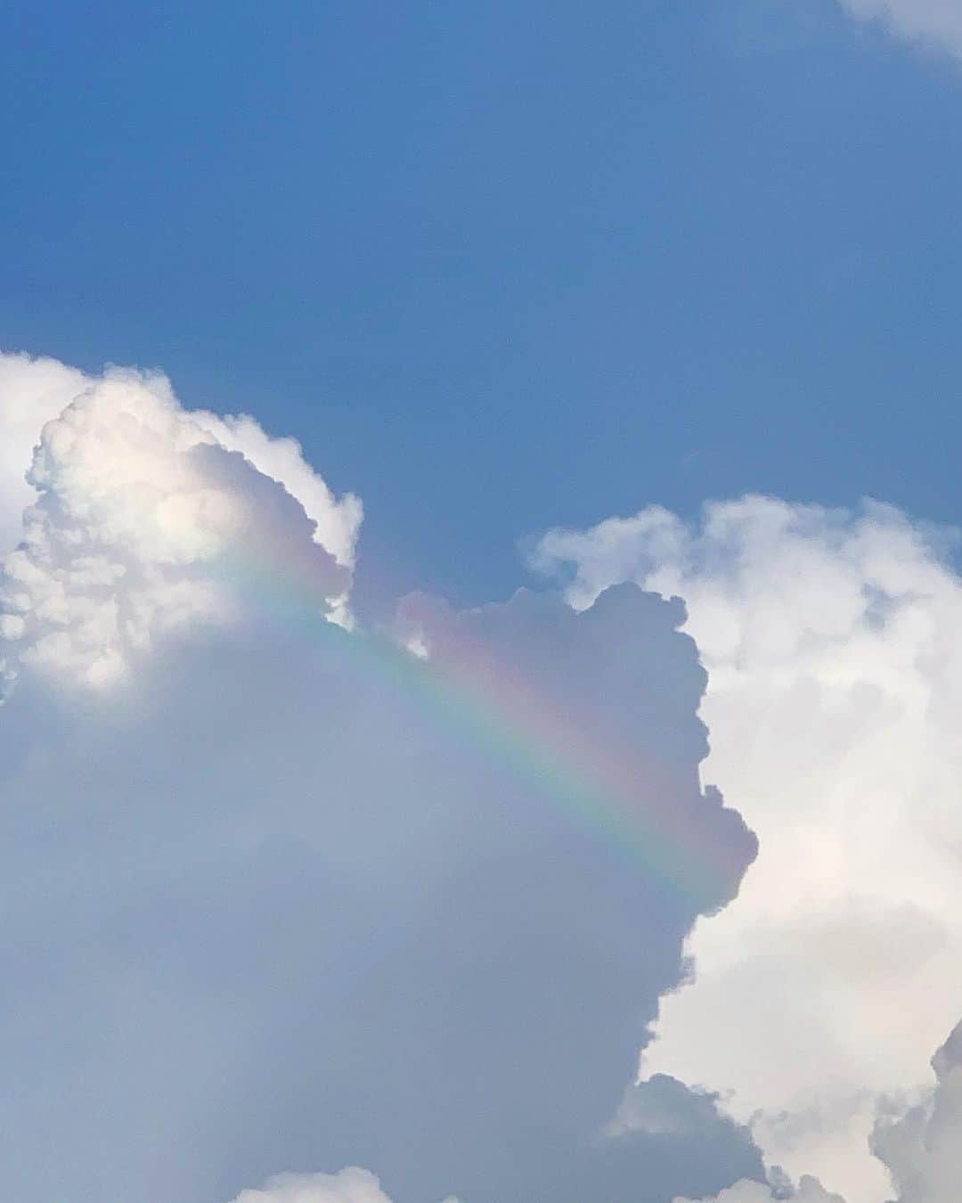 猪鼻ちひろのインスタグラム：「😍🌈 ベビーカー押して汗だくで往復した帰り道。 雨に降られたけど虹が見れました。  甥っ子は「公園で遊ぼ」と泣いてまで訴えてたはずなのに ほぼずっと寝ていました😂 あそこで体力使い果たしてた説。笑 結果、もう20時にしてへろへろに眠たいのは、 こちらのわたしです。笑 世の中の子育てしてるみなさま、 本当に毎日お疲れ様です！ね。  人生山あり谷ありとはまさにそれで 色んなことがあるけれど、 一致団結して笑って乗り越えられたらいいなぁ。 と思った日☺️🌈 寝るときは甥っ子父にバトンタッチです。 (ジィジじゃなきゃいやなんだって) #夏の空 #好きだ #虹だよ！ #って帰り道に甥っ子に大きな声で言ったら #周りの人がみんな見上げて虹だーってなった #なんだかハッピー」