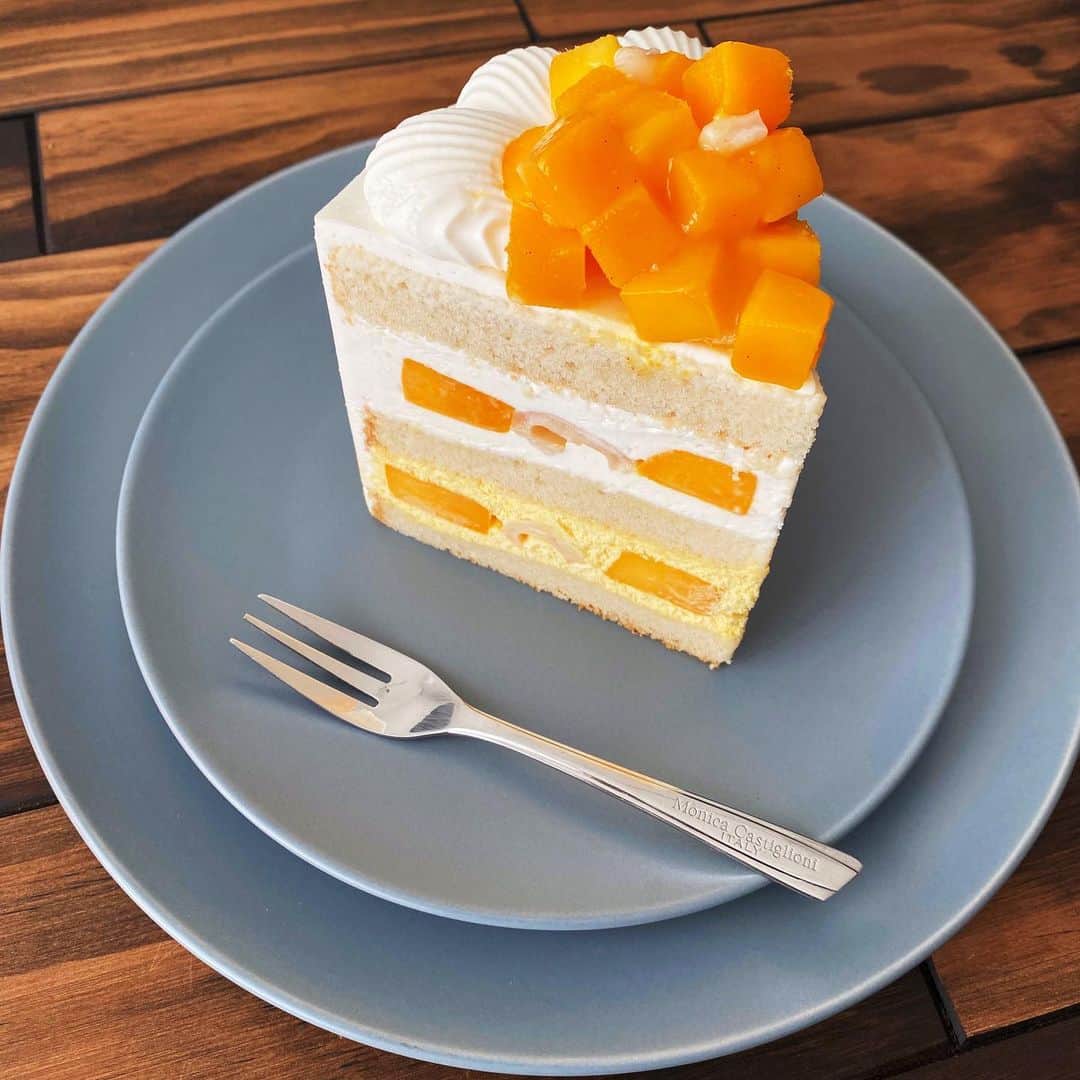 小越勇輝さんのインスタグラム写真 - (小越勇輝Instagram)「ケーキケーキケーキ。 甘い物は元気をくれる。  #ogostagram  #ケーキ #甘い物 #甘党 #スイーツ #癒し」9月5日 20時41分 - yuki_ogoe