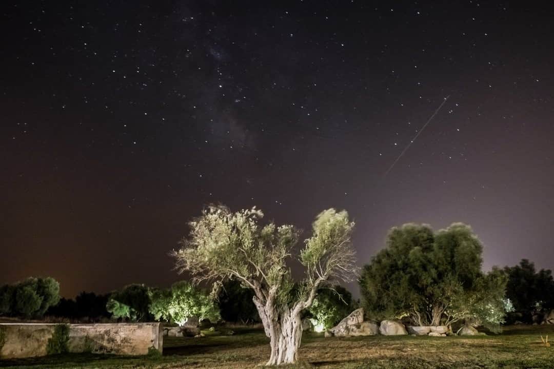 National Geographic Travelさんのインスタグラム写真 - (National Geographic TravelInstagram)「Photo by @francescolastrucci  Centuries-old olive trees swing in the breeze under bright stars in the countryside of Alentejo, Portugal. Rural Alentejo, dotted with whitewashed villages and megalithic sites, is a vast land that runs from the “other side of the River Tejo” (giving the name of Alentejo) to the Spanish border. Perhaps the secret of its luminous skies lies in the vastness of the territory and the low density of the population. It is a land of big estates, with large extensions of vineyards, olive groves, and cork woods, where it is normal to have the pleasant feeling of being lost in time and space. Follow me @francescolastrucci for more places, daily life, and stories around the world. #alentejo #portugal #landscape」9月5日 21時07分 - natgeotravel
