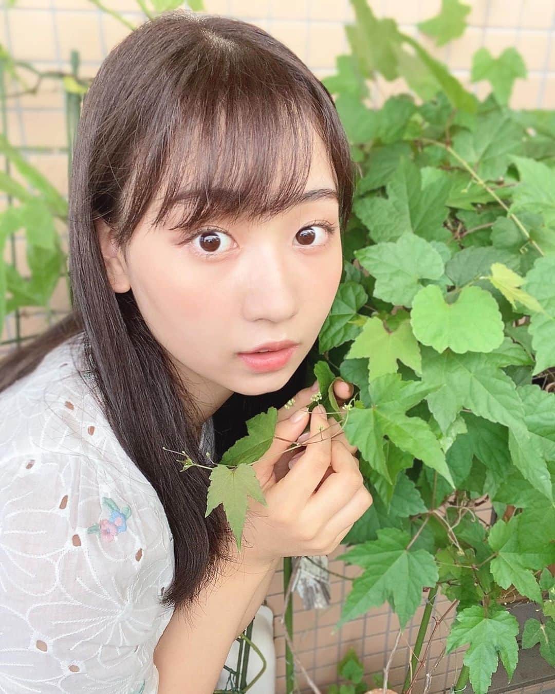 大場あゆみさんのインスタグラム写真 - (大場あゆみInstagram)「今日も一日お疲れ様です☕﻿ ﻿ 今回は我が家の野葡萄とツーショット🍇🌿﻿ ﻿ 9月になりましたが、まだまだ暑い日が続きますね！﻿ 先日購入した冷感マスクはまだまだ活躍しそうです😌﻿ 冬はあったかマスクが出るのかな～😷✨﻿ ﻿ ぜひ今日も#あゆポチ﻿ よろしくお願いします🌼﻿ ﻿ #日本女子大学 #コンテスト #ミス日本女子 #ミスコンテスト #あゆポチ #あゆたぴ #ポートレート #ポトレ #被写体 #白シャツ #コーデ #サロモ #サロモ募集 #野葡萄」9月5日 21時08分 - ayumi__oba