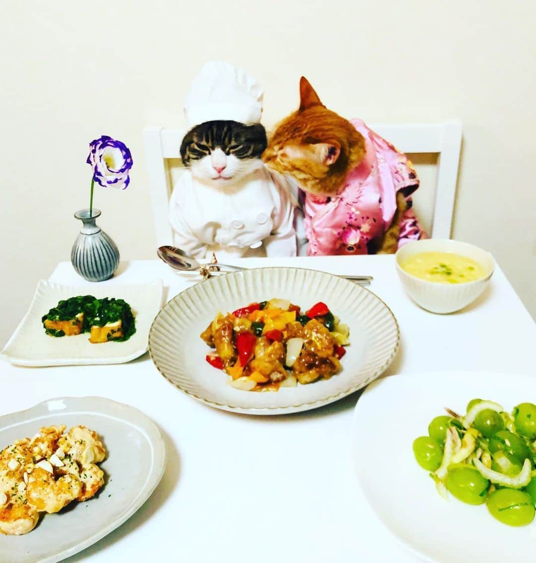 マロさんのインスタグラム写真 - (マロInstagram)「💛Today'menu💛　SWIPE▶️ ・ピーマンとパプリカの昆布酢豚 (stir-fried sour pork and vegetables) ・エビマヨ (Shrimp and Mayonnaise) ・厚揚げのモロヘイヤソースがけ (pieces of thick fried tofu with mulukhiya sauce) ・シャインマスカットのサラダ (Shine Muscat salad) ・コーンスープ (corn soup) ✴︎ 今月もよろしくお願いします❣️ いつもコメントありがとうございます😸🙏💞 返信出来なくてすみません🙇‍♀️ 全て拝見しています🐾 ✴︎ I appreciate your continued support!  Thank you for your kind comments😸🙏💞 I'm  sorry that I couldn't reply. ✴︎ #cat#cats#catsofinstagram#😻 #chef#food#fruit#flower#ねこ #猫#ねこ部#料理#中華料理#花 #猫のいる暮らし#斉藤和義 #シェフ#私の家政夫ナギサさん #カーリングシトーンズ #コロナに負けるな」9月5日 21時46分 - rinne172