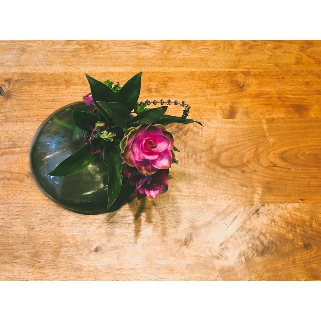 木南晴夏さんのインスタグラム写真 - (木南晴夏Instagram)「お花がおうちにあるだけで 気分よかよか🌹」9月5日 22時04分 - kinamitopan