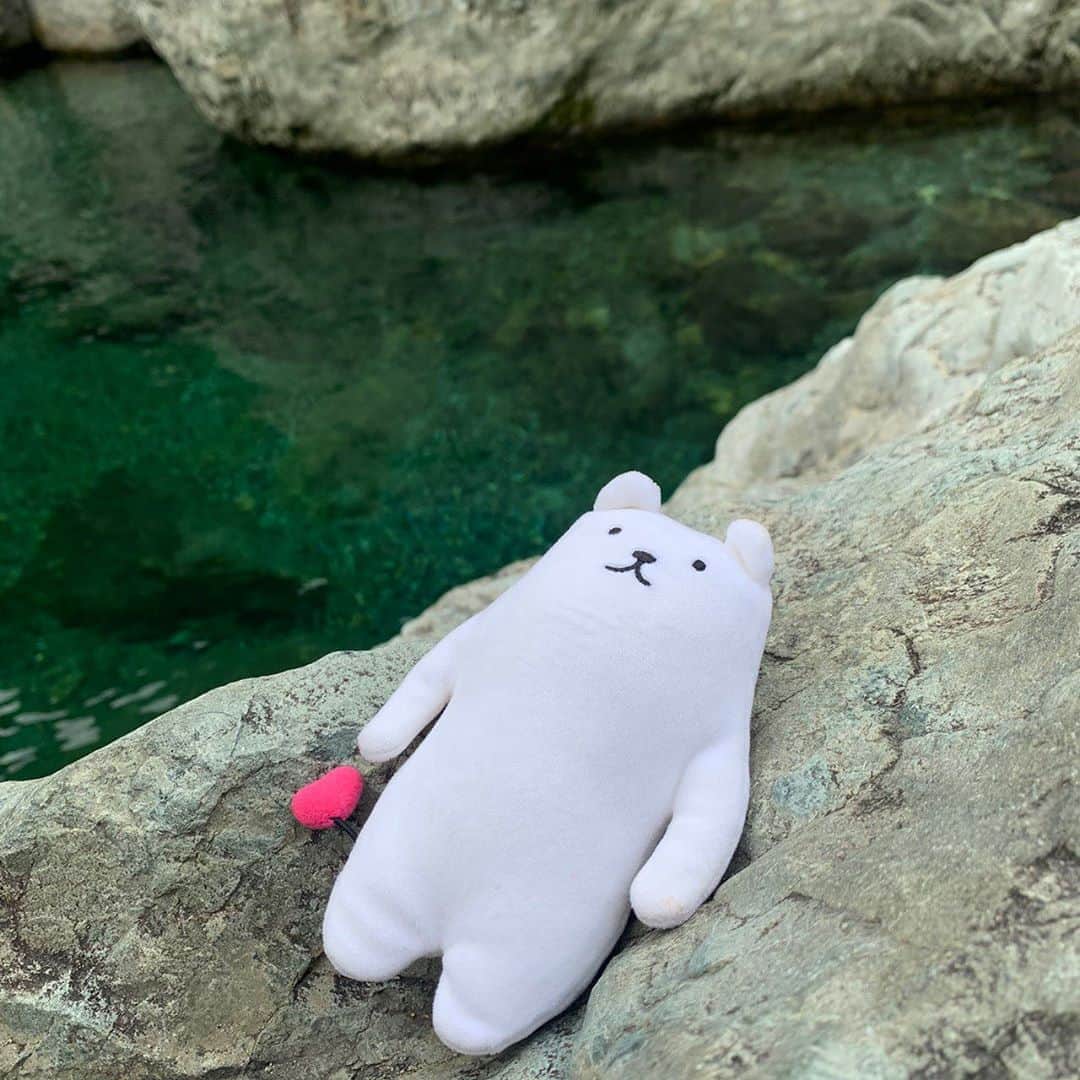 フィルたんのインスタグラム