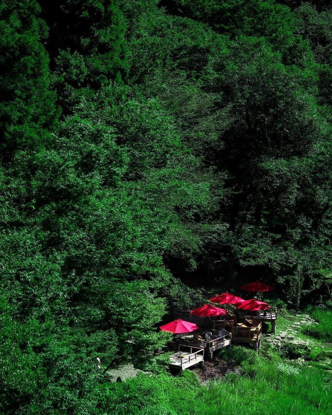 s_shoheyのグルメインスタ