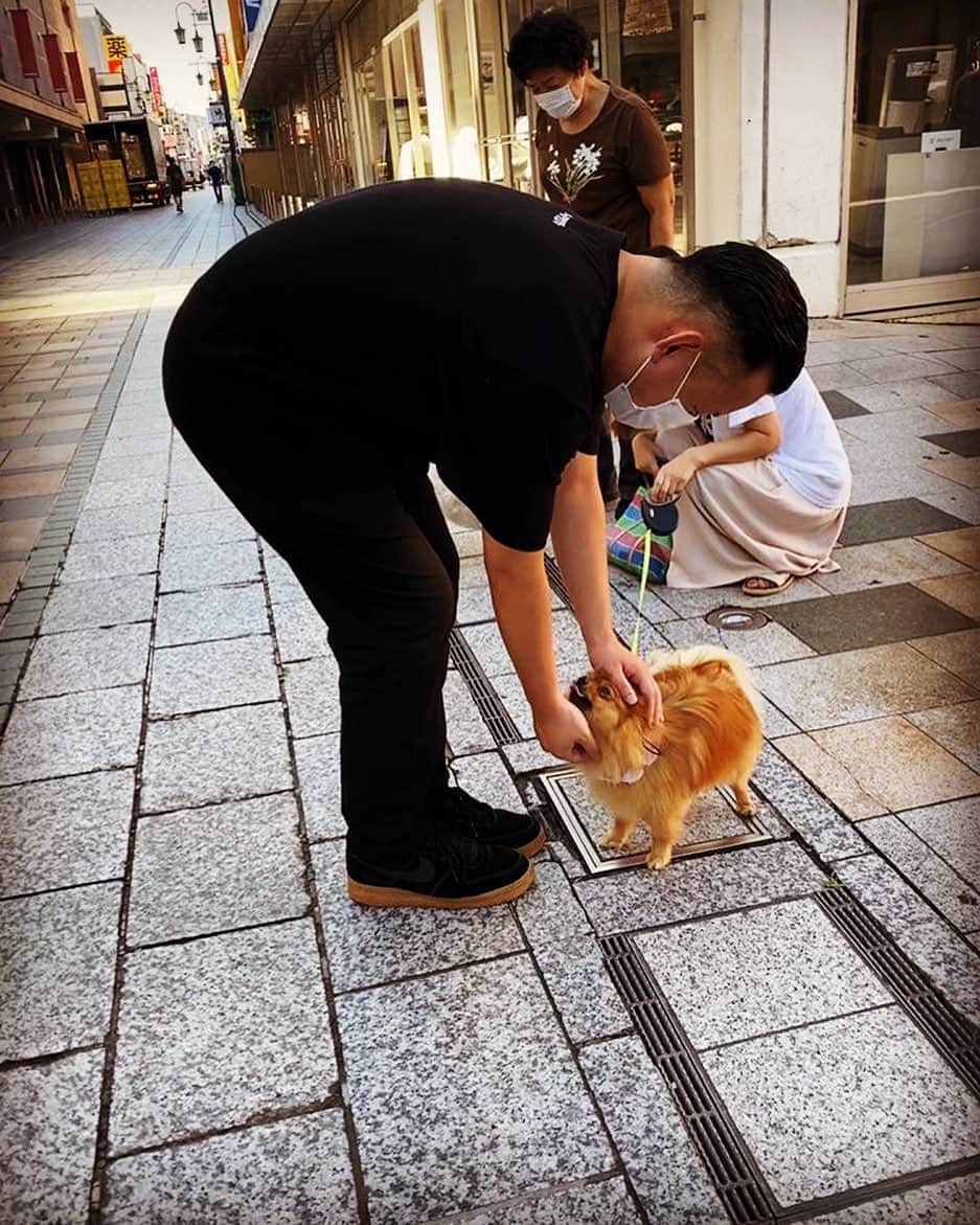 輪入道さんのインスタグラム写真 - (輪入道Instagram)「わん🐶」9月5日 22時20分 - wanyudo