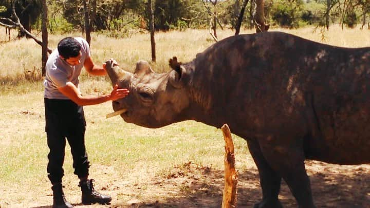 سعودのインスタグラム：「Rhino 🦏」