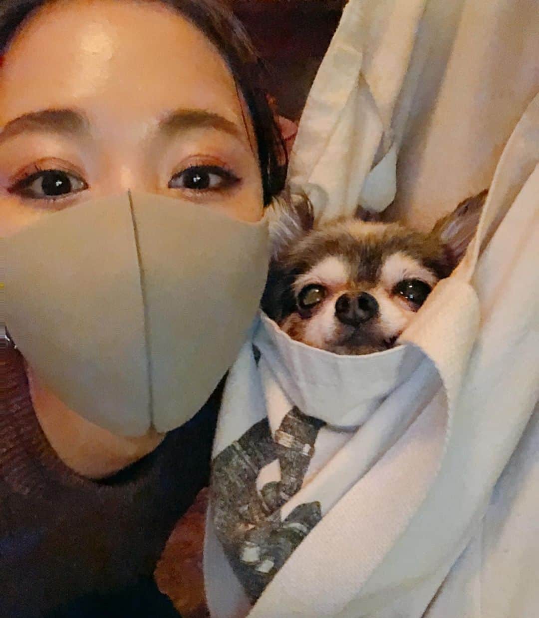 崎本ゆかりのインスタグラム：「ちょっと長いですが…真面目な話。 . 昨日、とっても とーーーっても可愛いチワワちゃんに会いました。 全く吠えないし とても人懐っこくて良い子さん…♡ 聞いたらなんと 保護犬。。。(ブリーダー放棄) 推定10歳。 保護犬って 人間不信な子が多いはずなのに、こんなに穏やかで幸せそうな顔をしている子がいるなんて ただただ驚きでした。それだけ素敵な家族と出会えたってことだね♡  パピーから育てるのももちろんいいけど、、 何らかの理由で放棄された子たちを 引き取る愛と勇気には、やっぱり感動したし 特別な思いがありました。  と同時に、、動物を飼う＝家族になる ということを安易に考えてる人がいることにガッカリもしました。。 自分は 好きだからこそ飼えないという状況なので、まるでアクセサリーを買うかのような軽い気持ちで飼おうとしてる人の発言は 本当に残念だし腹が立ちます。。  この写真の可愛いチワワ 律ちゃんは、 素敵なママと出会えて 本当に幸せそうで嬉しかった♡♡ りっちゃんと同じように、今からでも幸せになる子が増えるといいなって。。もちろんそれはどの動物にも共通で。 何もしてないのに偉そうに長々と書きましたが、 保護活動は いつか時間ができたら絶対にやりたいことの一つです。  日本がもっと 動物に優しい国になることを 改めて 心から願っています。。🕊  #保護犬 #ブリーダー放棄 #飼育放棄 #パピーミル反対 #保護活動 #保護犬を家族に #責任 #動物愛護 #天使 #律さん #チワワ #chihuahua #animals #loveandpeace」