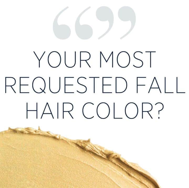 CosmoProf Beautyさんのインスタグラム写真 - (CosmoProf BeautyInstagram)「Fall is almost here! What hair colors are your clients starting to request? Let us know some of your favorite looks for the new season in the comments below.  * #cosmoprofbeauty #licensedtocreate #fall #haircolor #salon #consult #client #color #seasonaltrends #hairstylist #dye」9月5日 23時00分 - cosmoprofbeauty