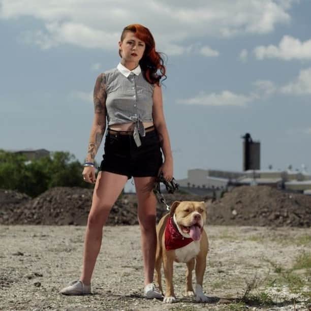 Discoveryさんのインスタグラム写真 - (DiscoveryInstagram)「With hundreds of pit bulls, hounds and other dogs in its care, @villalobosrescuecenterofficial has been called the largest pit bull rescue in the United States. In honor of tonight’s #pitbullsandparolees You Watch, We Give tv event on @animalplanet, we are hosting a special Saturday #virtualfieldtrip from Villalobos on our Instagram. Follow our Instagram stories all day long for exclusive access with your guide, @mariah_harmony_. Help give back by watching #pitbullsandparolees tonight at 9p on Animal Planet. The network will make a donation to Villalobos Rescue Center for every person who tunes in this evening.  . . . . . . . #pitbulls #pitbull #pitbullsandparolees #animalplanet #tiatorres #villalobos #villalobosrescuecenter #pitbullrescue #animals #dogs #rescuedogs #youwatchwegive #showusyourpits #photooftheday」9月5日 23時01分 - discovery