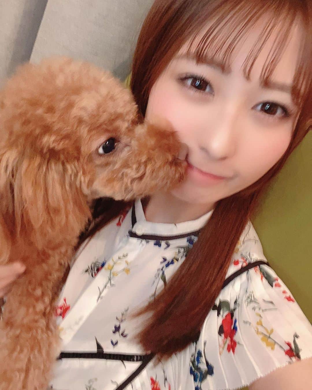 飛鳥りんさんのインスタグラム写真 - (飛鳥りんInstagram)「写真撮ろうとしたらミニーにペロされる🐶❤️  #愛犬のいる生活 #トイプードル #いぬすたぐらむ #イチナナライバー」9月5日 23時13分 - asuka_rin0108