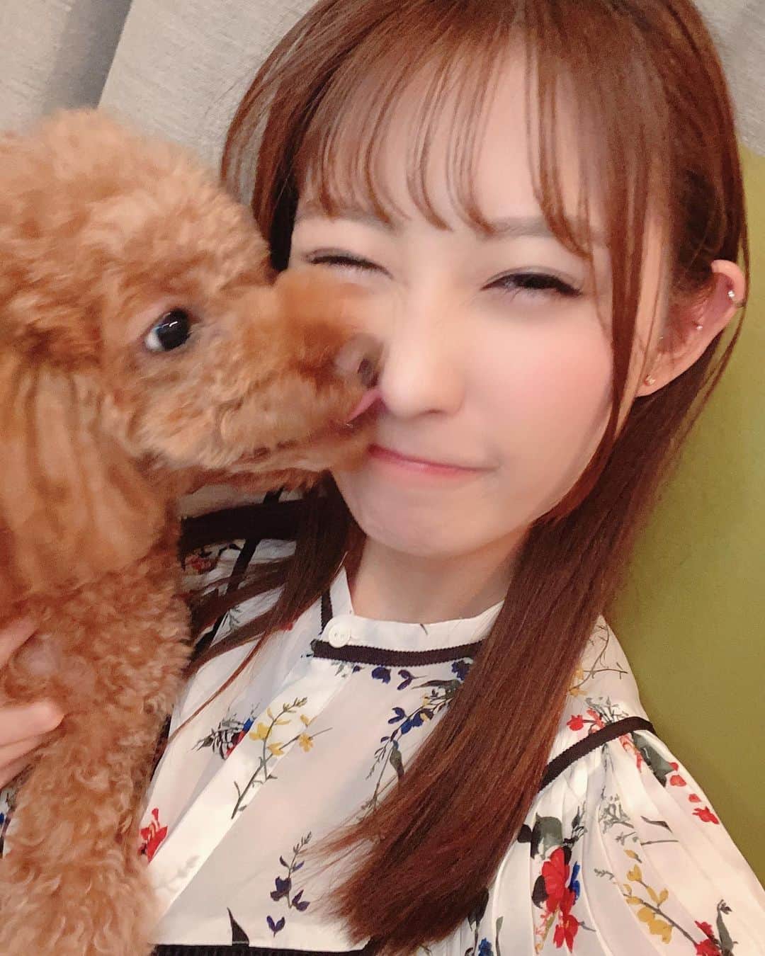 飛鳥りんさんのインスタグラム写真 - (飛鳥りんInstagram)「写真撮ろうとしたらミニーにペロされる🐶❤️  #愛犬のいる生活 #トイプードル #いぬすたぐらむ #イチナナライバー」9月5日 23時13分 - asuka_rin0108