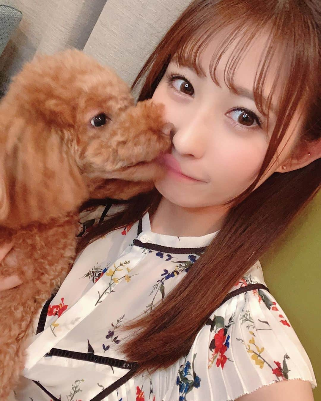 飛鳥りんのインスタグラム：「写真撮ろうとしたらミニーにペロされる🐶❤️  #愛犬のいる生活 #トイプードル #いぬすたぐらむ #イチナナライバー」