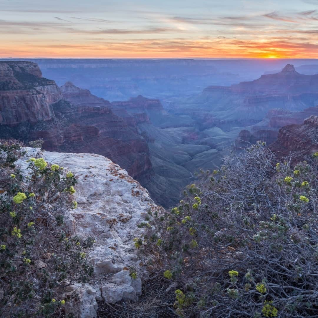 アメリカ内務省さんのインスタグラム写真 - (アメリカ内務省Instagram)「Standing along the edge of Grand Canyon National Park's #NorthRim in #Arizona, the fading sun's cool tones may fool you into thinking that you're underwater. And yet, you're at an elevation of about 8,000 feet and very much, above sea level. Cape Royal Trail provides popular views and delivers visitors stunning sunsets. The trail takes you through pinyon pines and junipers while meandering along the rim.  Photo @GrandCanyonNPS by Kathy Ritter (www.sharetheexperience.org). #usinterior #recreateresponsibly #grandcanyonnationalpark」9月5日 23時28分 - usinterior