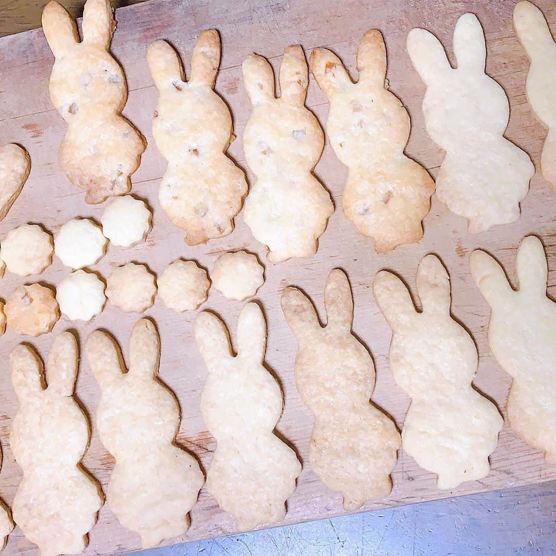 平佐知子さんのインスタグラム写真 - (平佐知子Instagram)「ミッフィーのクッキー型を手に入れたので早速作った！！(・✕・)  リクエストがあったので、顔も頑張ったよ…！！✨  アイシング苦手だからもっと練習しよー😭  #アイシングクッキー  #手作りお菓子  #クッキー  #ミッフィー  #お菓子作り   #クッキングラム」9月5日 23時48分 - kandai20miss_5