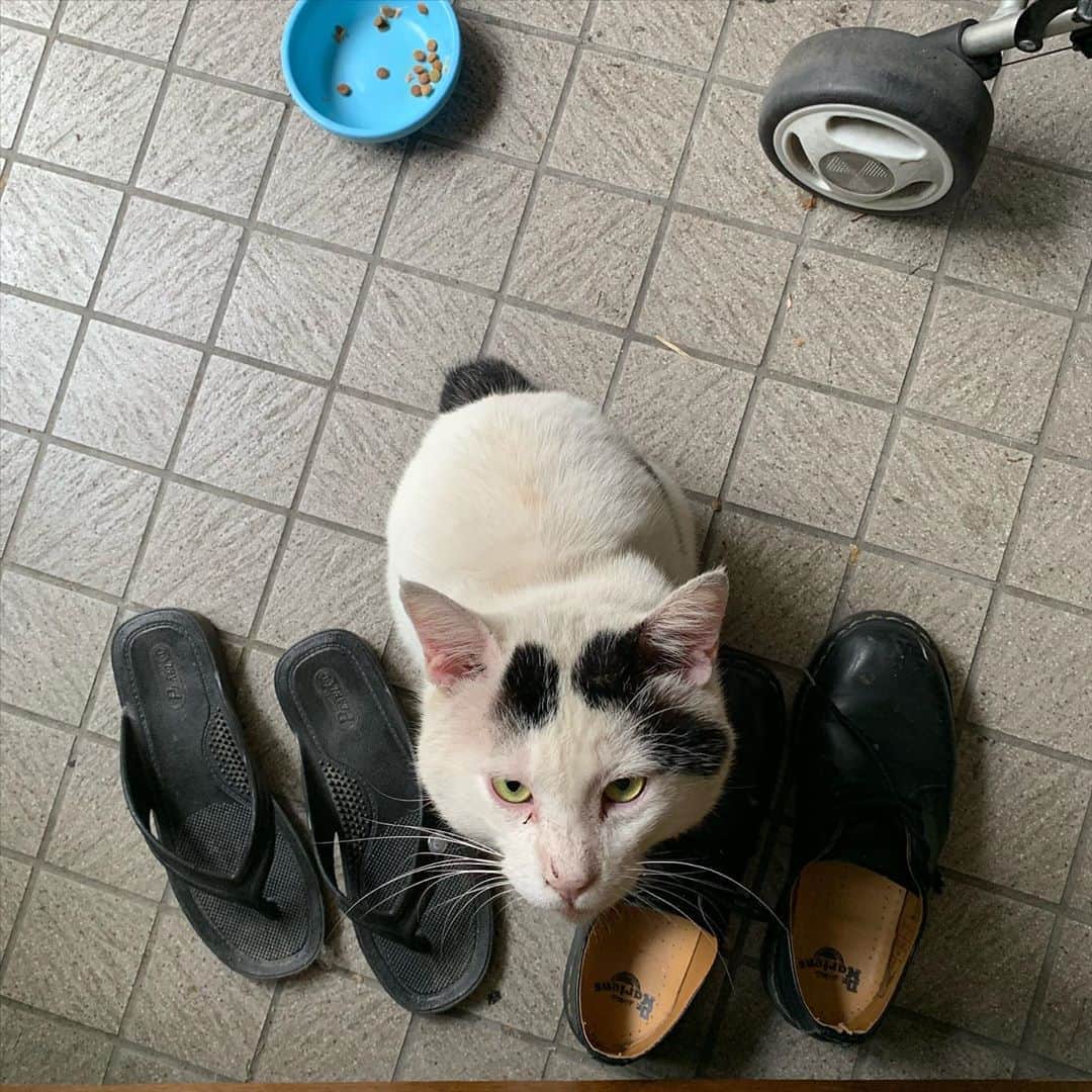 Kachimo Yoshimatsuのグルメインスタ