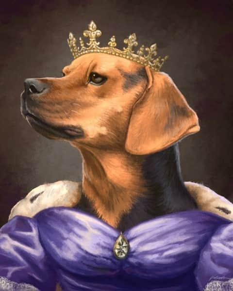 Tumblrさんのインスタグラム写真 - (TumblrInstagram)「Treat them like royalty! —  jhfrench.tumblr.com⁠ #tumblrstaffpicks: @jh_french⁠ #artistsontumblr #dogportrait #dogblr」9月6日 0時35分 - tumblr