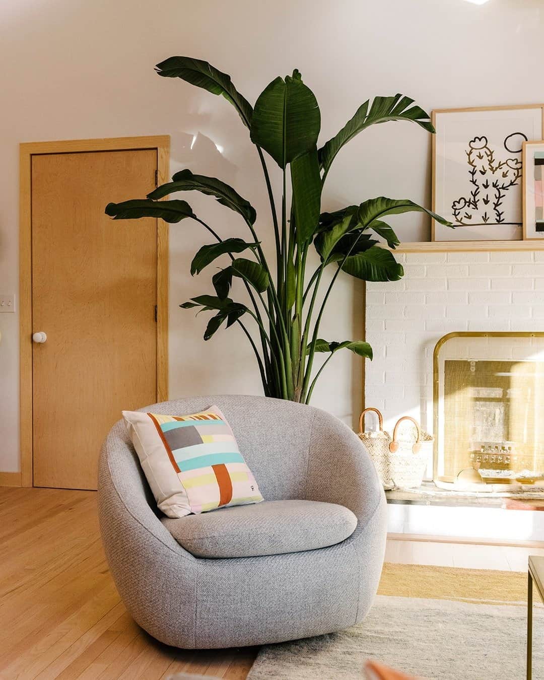 west elmさんのインスタグラム写真 - (west elmInstagram)「Big weekend plans: finding the biggest Bird of Paradise plant possible to recreate this scene from @quiettownhome's house tour 🌿😌 Link in bio to see the whole space!」9月6日 1時00分 - westelm