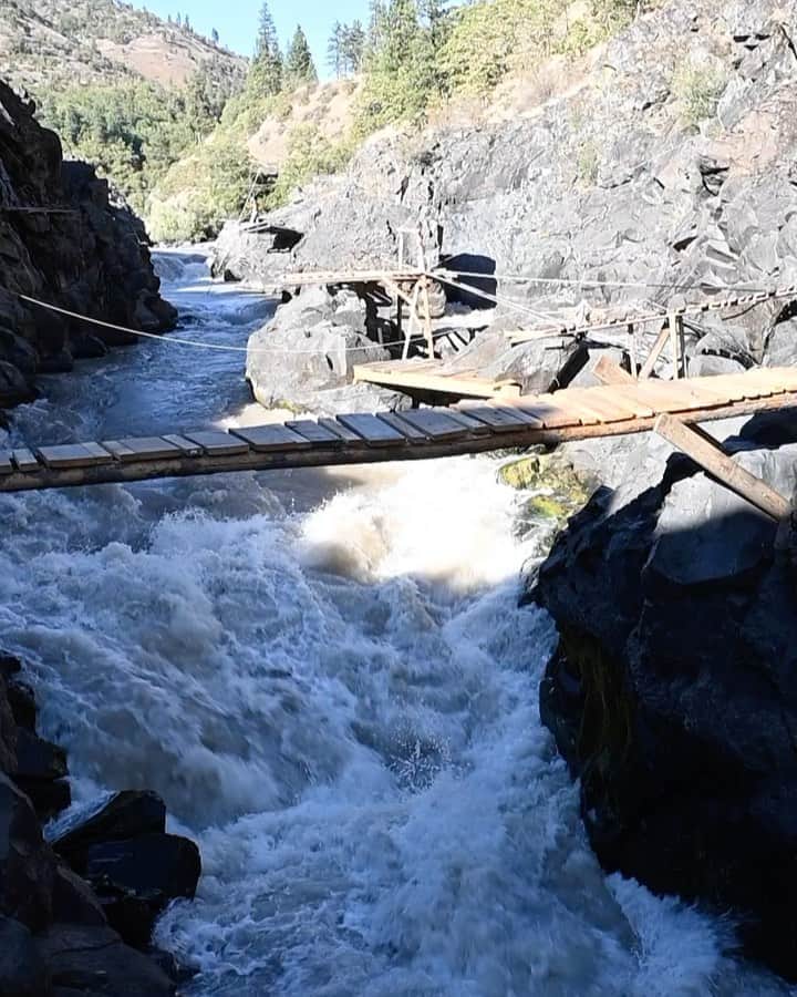 のインスタグラム：「Video by @kiliiiyuyan  I’m in the Klickitat river gorge in Washington State, walking across tenuous wooden bridges and hanging out with Yakama families above the rushing falls below. The Yakama and other tribes in the region have been dipnetting for salmon for millennia. Once, the largest of the falls, at Celilo on the Columbia River nearby, was the largest gathering of Indigenous peoples on earth. But the construction of the Dalles dam in 1957 buried the falls and with it, the livelihood for a network of millions of Native peoples. The resilience of Indigenous communities means that the Yakama never stopped fishing. Today as Native Nations are regain their sovereign rights of land and subsistence, they are managing the slow removal of dams across the west. Follow me @kiliiiyuyan, for more from the Indigenous world. #indigenous #fishing #yakama #sovereignty」
