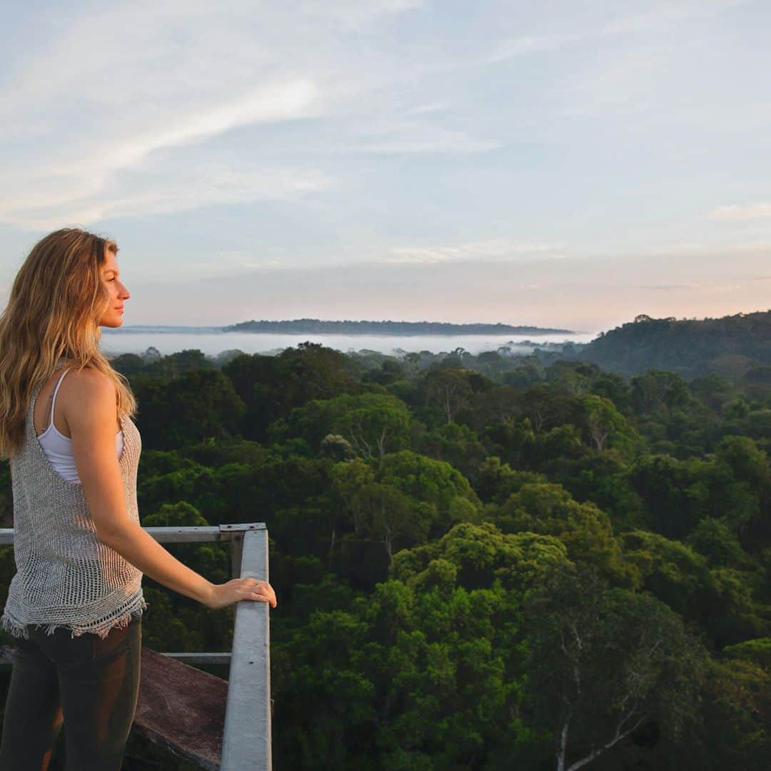 ジゼル・ブンチェンさんのインスタグラム写真 - (ジゼル・ブンチェンInstagram)「Today is Amazon Rainforest Day! Today we celebrate the most biodiverse forest on our planet, a forest that offers everyone a wealth of cultural and natural treasures. The Amazon Rainforest plays a crucial role in balancing the earth’s climate, and therefore all our lives. But when a forest is at risk, and fragmented, it becomes weaker. It’s the same for humanity. Divided, we lose strength, and united, we become stronger. No matter who we are or where we come from, let’s put aside our differences and honor nature, so that all of us can thrive for years to come. Let’s come together to protect and nurture our most important resource, our planet. Our lives literally depend on it! ✨🌳 🌲 ✨ #amazonrainforest Hoje é o Dia da Floresta Amazônica!  Hoje celebramos a floresta de maior biodiversidade do nosso planeta, uma floresta que oferece a todos uma riqueza cultural e tesouros naturais. A Floresta Amazônica desempenha um papel crucial no equilíbrio do clima da Terra e, portanto, em todas as nossas vidas. Mas, quando uma floresta está sendo fragmentada, ela se torna mais fraca e vulnerável. É o mesmo para a humanidade.  Divididos, perdemos forças e, unidos, ficamos mais fortes. Não importa quem somos ou de onde viemos, vamos deixar de lado nossas diferenças e honrar a natureza, para que todos nós possamos prosperar nos próximos anos. Vamos nos unir para proteger e nutrir nosso recurso mais importante, a mãe Terra.  Nossas vidas literalmente dependem disso! #amazonia」9月6日 1時37分 - gisele