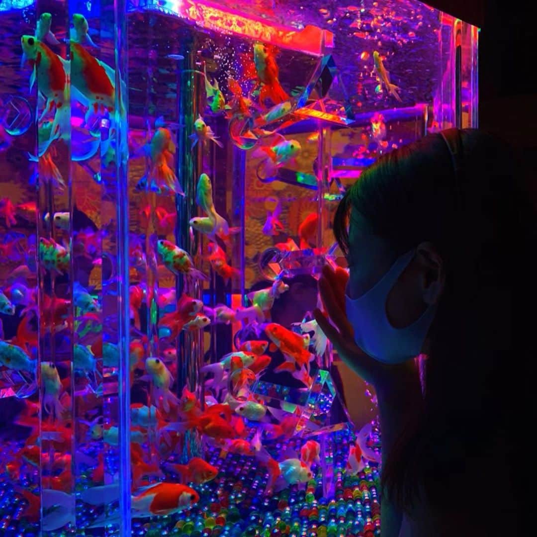 竹本茉莉のインスタグラム：「. 金魚の世界を のぞいてきました💃 . . . . .  #アートアクアリウム #金魚」