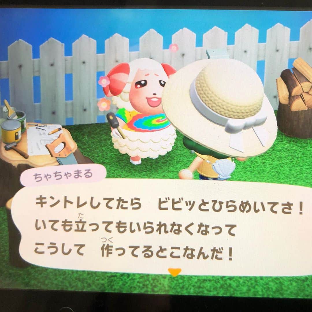 三上市朗のインスタグラム：「我が島に「ちゃちゃまる」がやって来た事を、ご報告いたします。 #あつ森」
