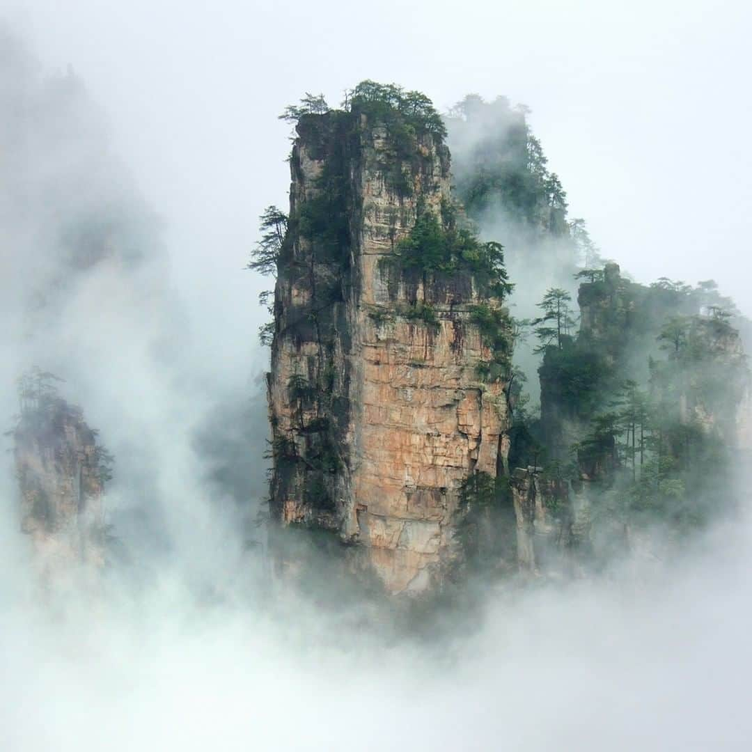 Discoveryさんのインスタグラム写真 - (DiscoveryInstagram)「The sandstone pinnacles of Zhangjiajie National Forest served as inspiration for the mythical Pandora of the movie Avatar. #adventurouslife   #Avatar #Zhangjiajie #Pandora #magickingdom #exploremore #majestic_earth」9月6日 4時00分 - discovery