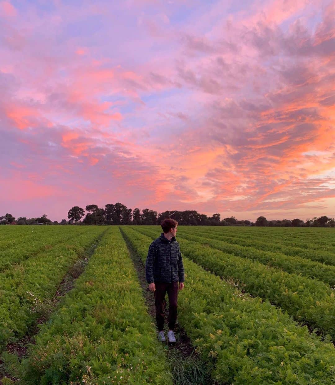 コナー・フランタのインスタグラム：「we watched the sunset in a carrot field last night」