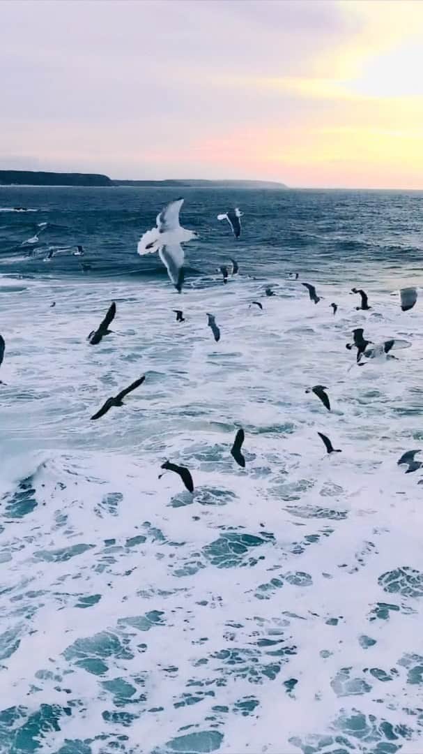 のインスタグラム：「We were blessed to have such an innocent creative soul around us here at In4mation. Here’s a great inner mind piece put together by famed videographer @cameronkc for Beak’s show at our old Chinatown space...... Rest in paradise J Bird “Stay Unflappable”  Music by @jimhurdle」
